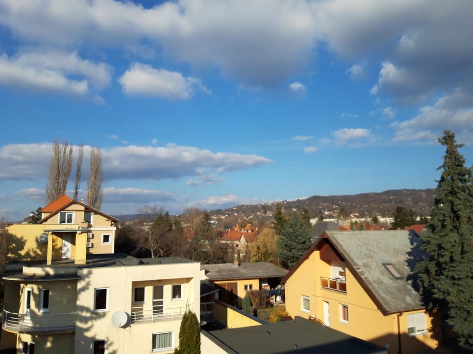 Neighbourhood, City view