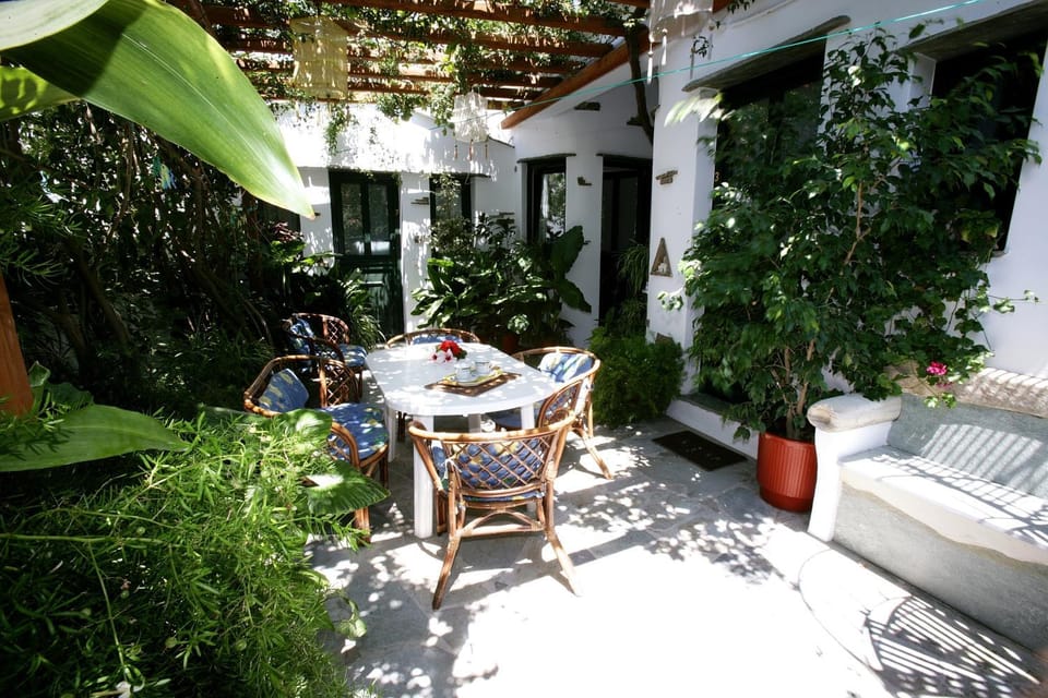 Garden, Garden view
