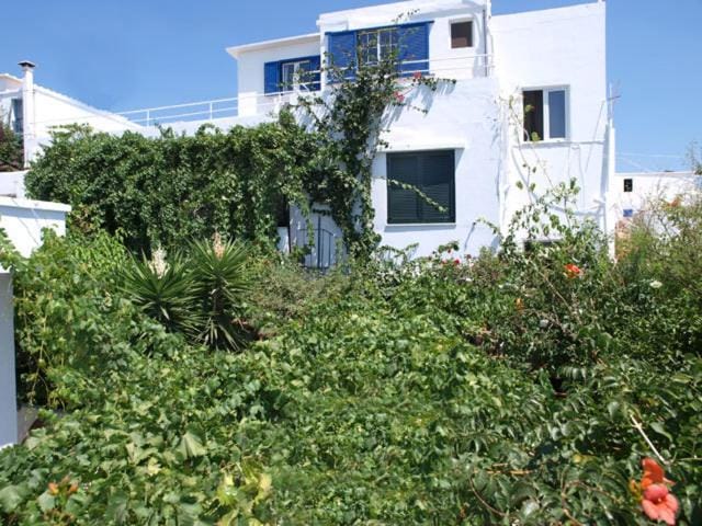 Property building, Bird's eye view, Garden view