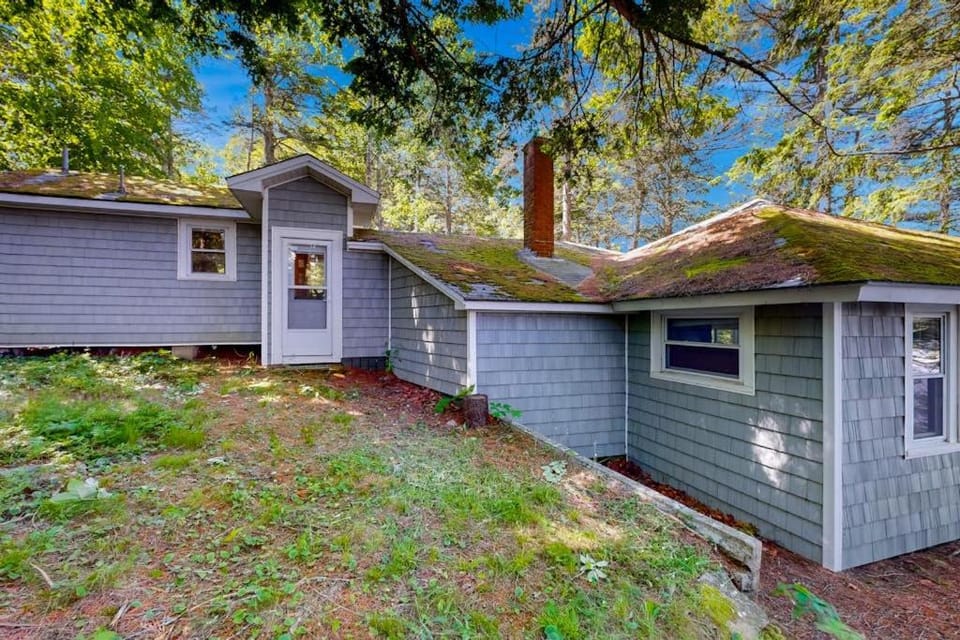 Property building, Day, Garden