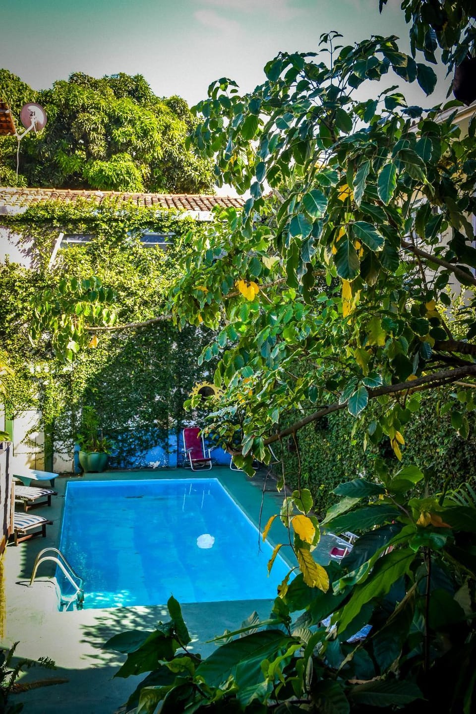 Pool view