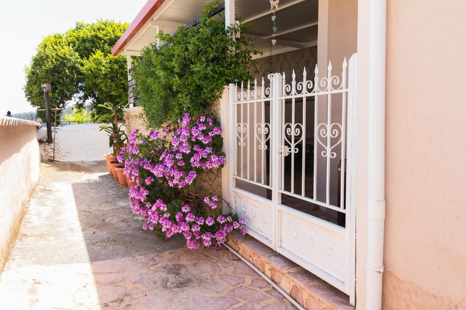 Property building, Garden, Street view