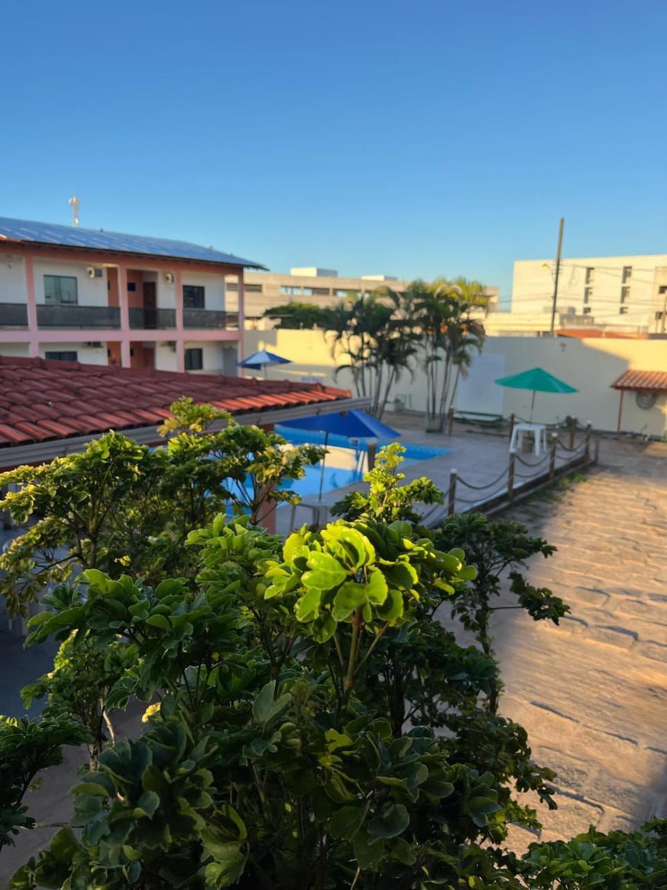 Property building, Garden, Swimming pool