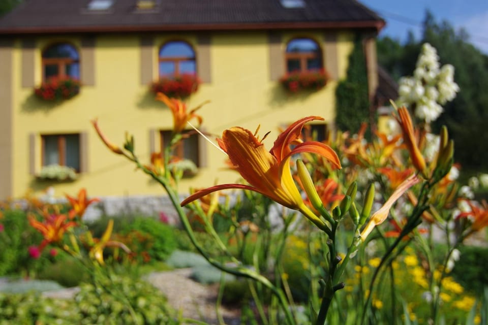 Property building, Spring, Day, Garden, Garden view