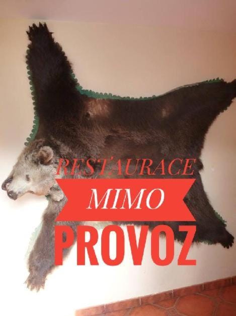 Pension Grizzly Bed and Breakfast in Lower Silesian Voivodeship