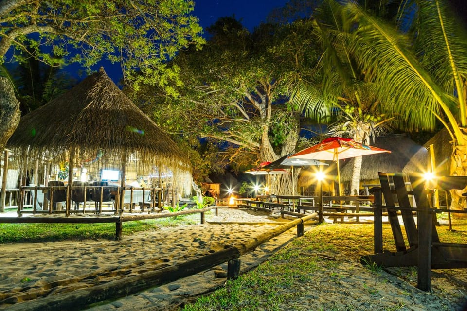 Night, Natural landscape, Garden, Lounge or bar, Garden view