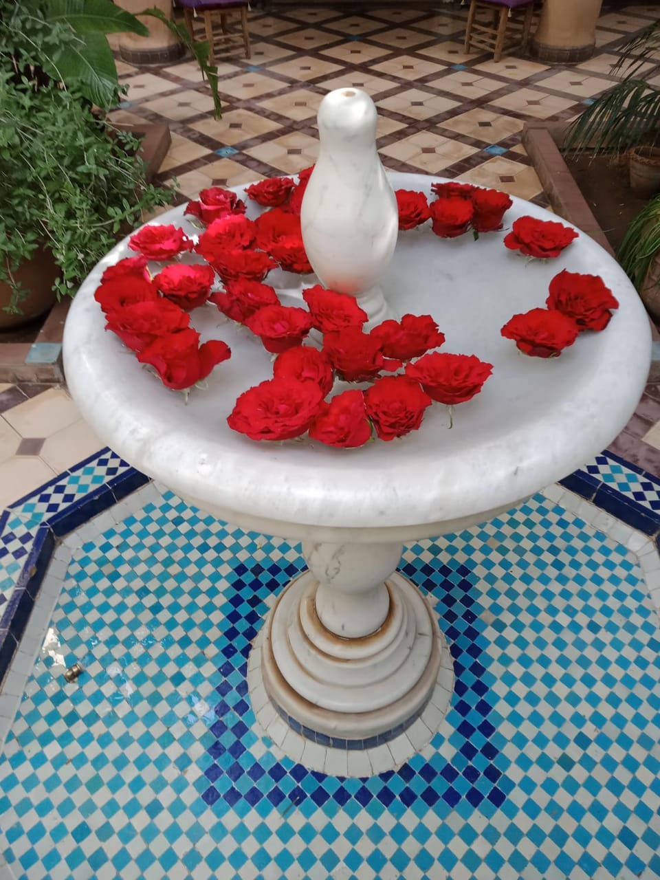 Patio