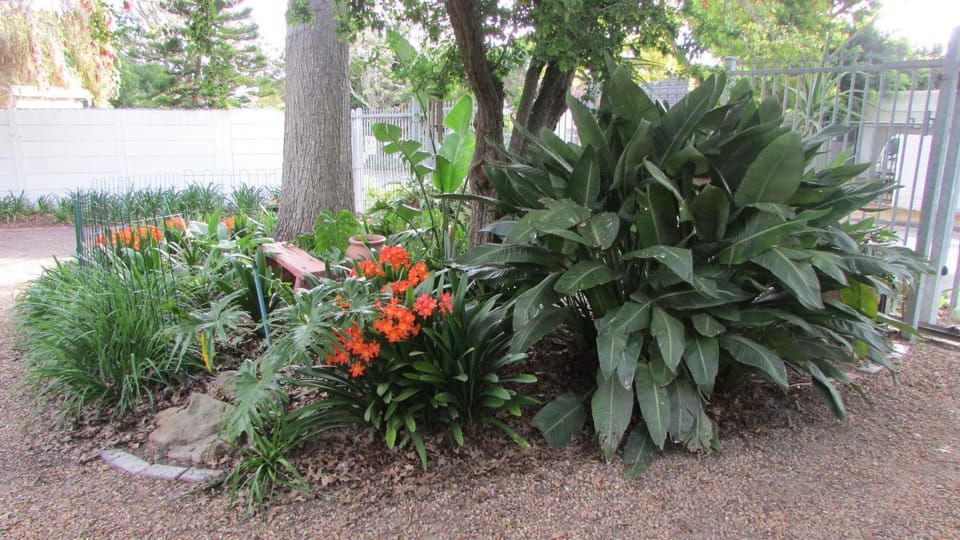 Garden view