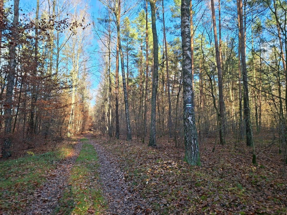 Domki Letniskowe Jerutki Nature lodge in Poland