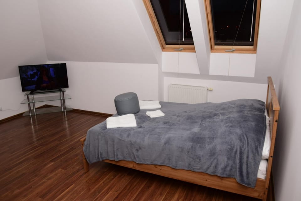 Apartament Boróweczka Apartment in Lower Silesian Voivodeship