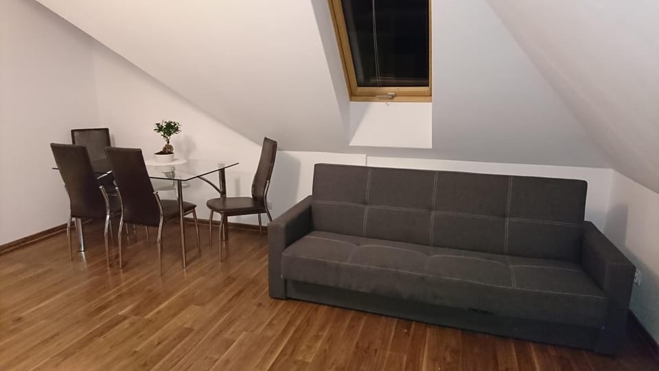 Apartament Boróweczka Apartment in Lower Silesian Voivodeship