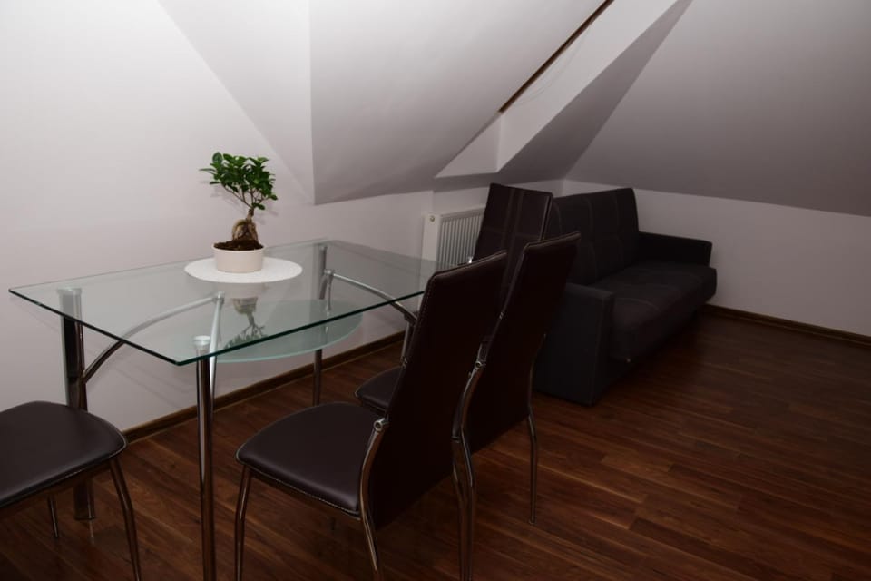 Apartament Boróweczka Apartment in Lower Silesian Voivodeship
