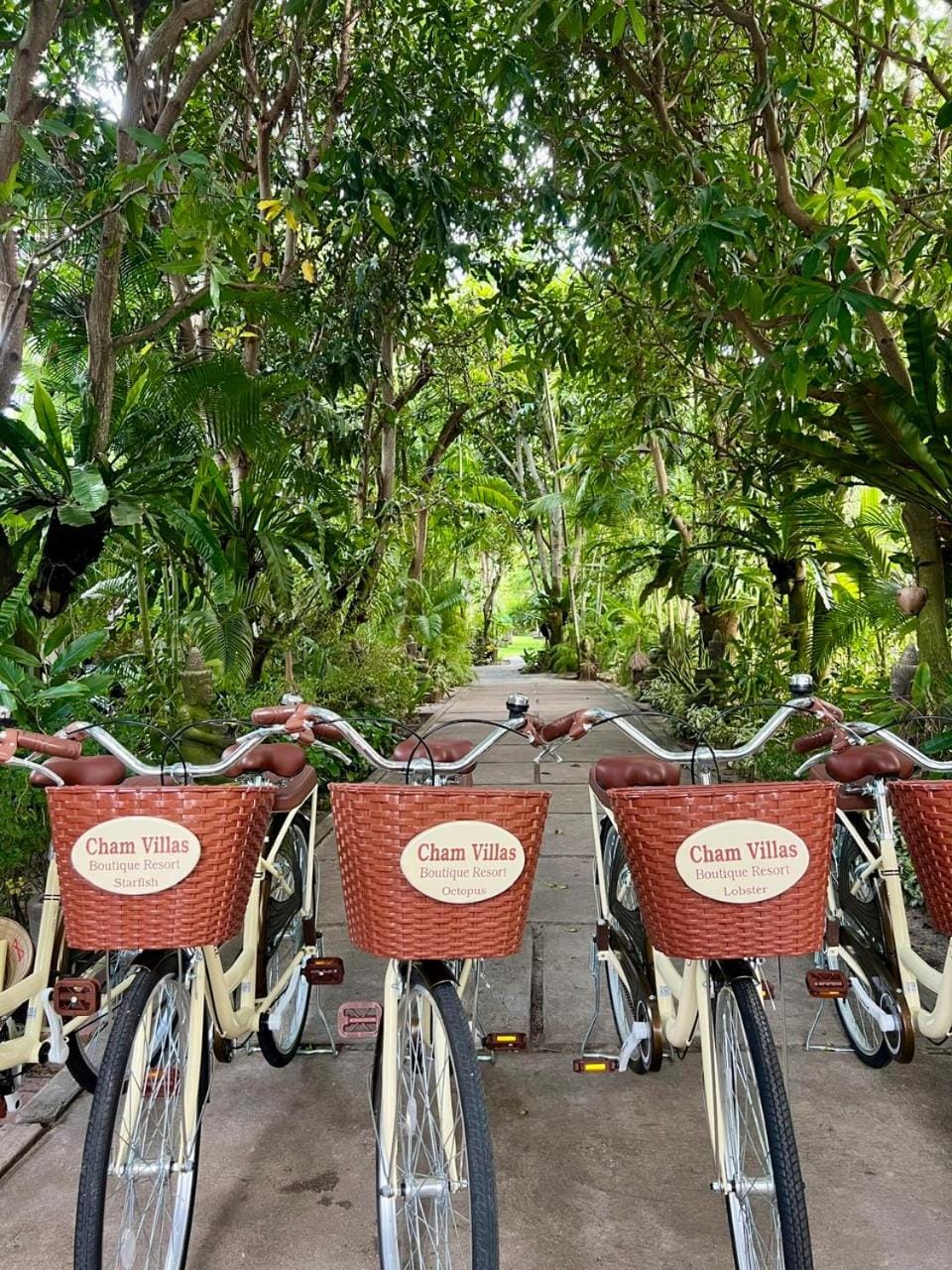 Cham Villas Resort Villa in Phan Thiet