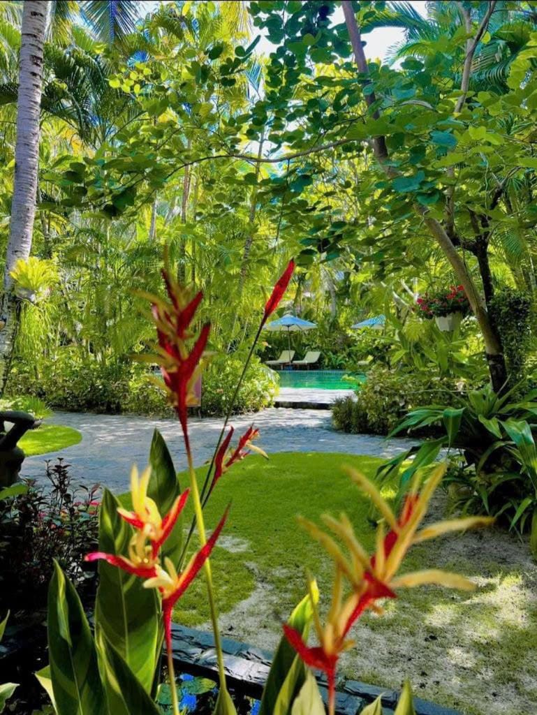 Garden, Garden, Garden view, Garden view, Swimming pool