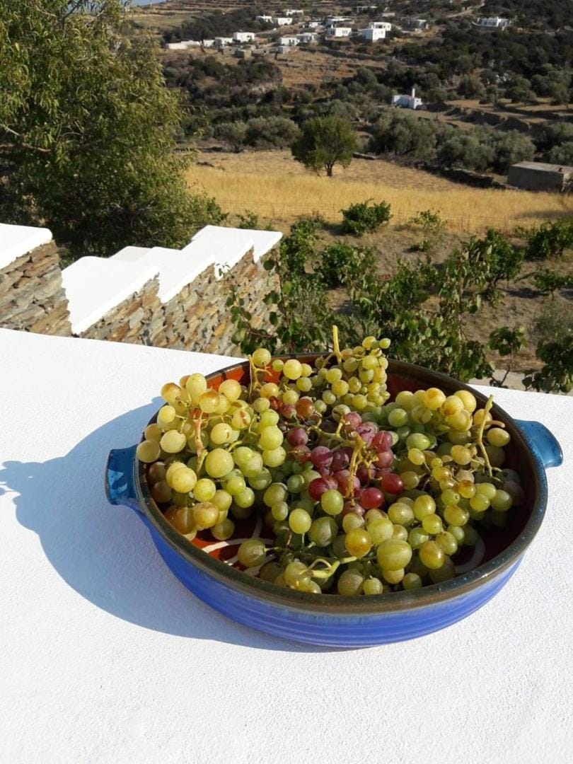 Cycladic Vineyard House House in Milos