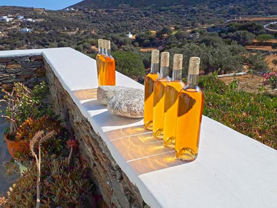 Cycladic Vineyard House House in Milos