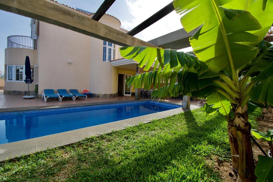 Patio, Garden, Swimming pool