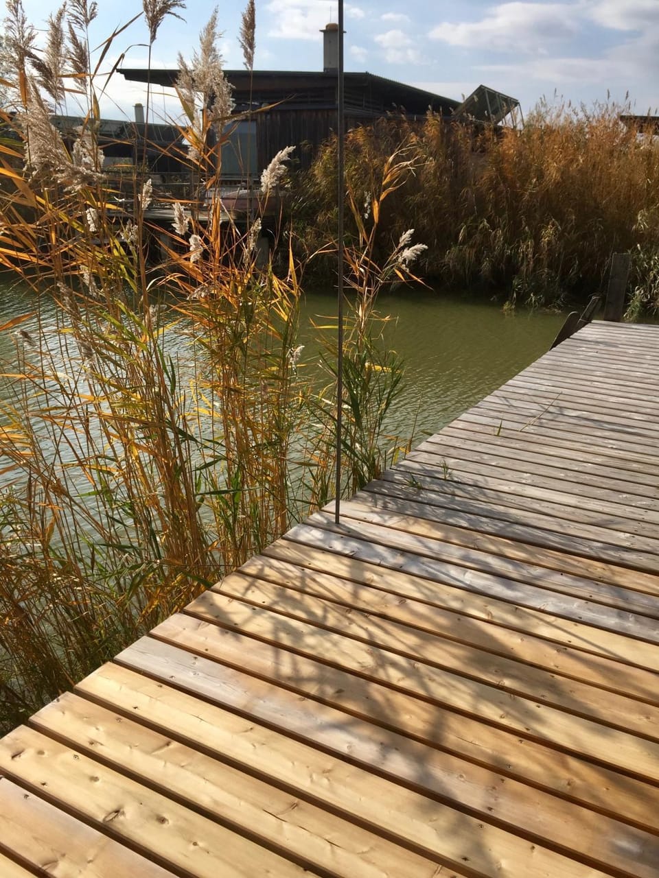 Lake view