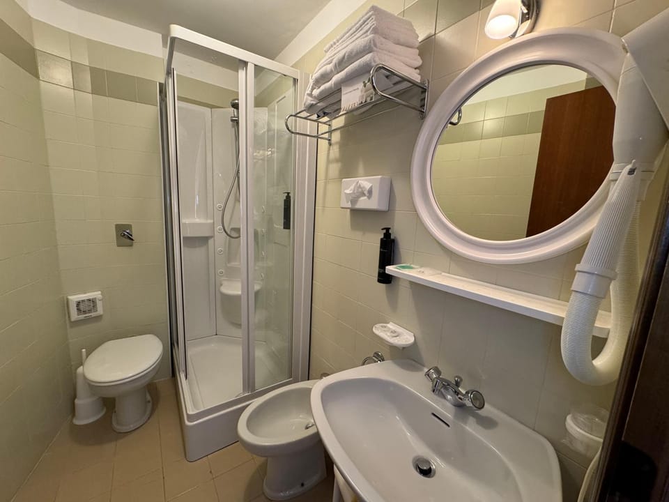 Shower, Toilet, Bathroom, bidet, towels