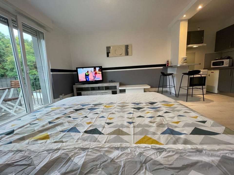 Communal lounge/ TV room, Bed, TV and multimedia, Photo of the whole room, Bedroom