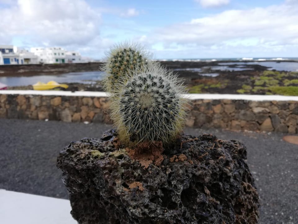 mirador del roque 2 Apartment in Isla de Lanzarote