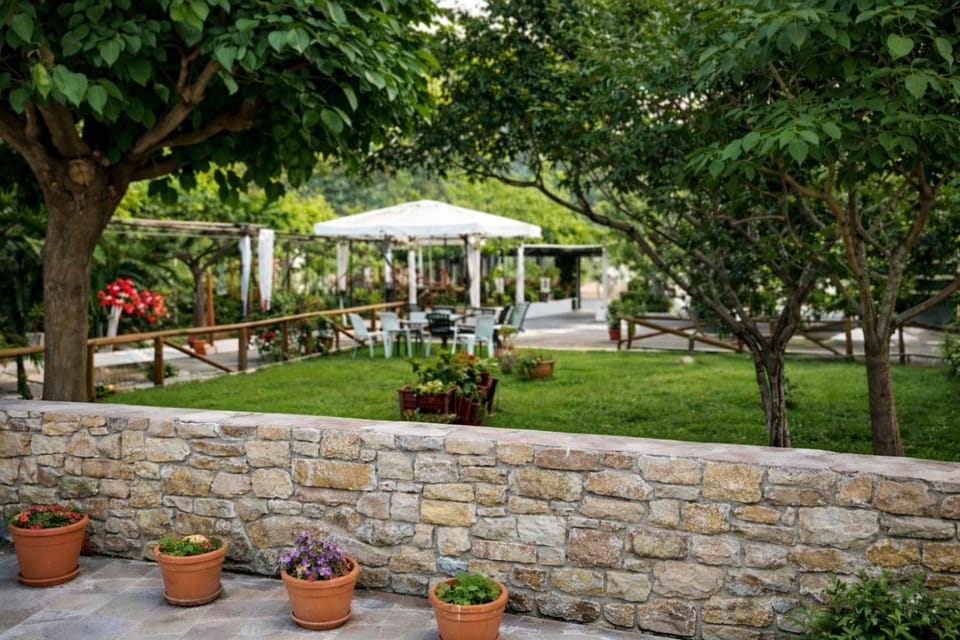 Garden, Garden view