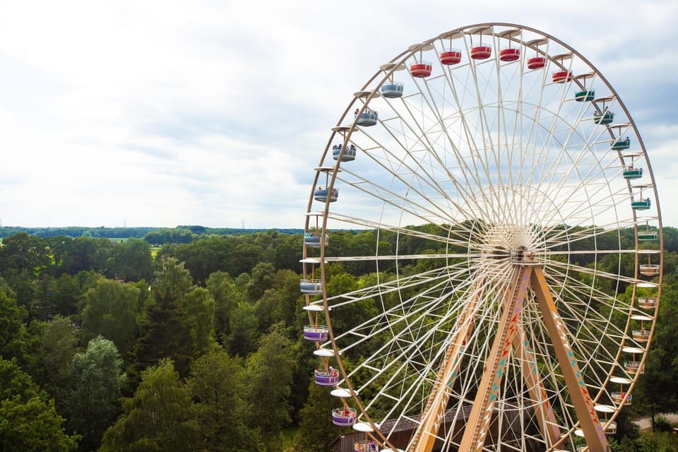 Bird's eye view, Entertainment