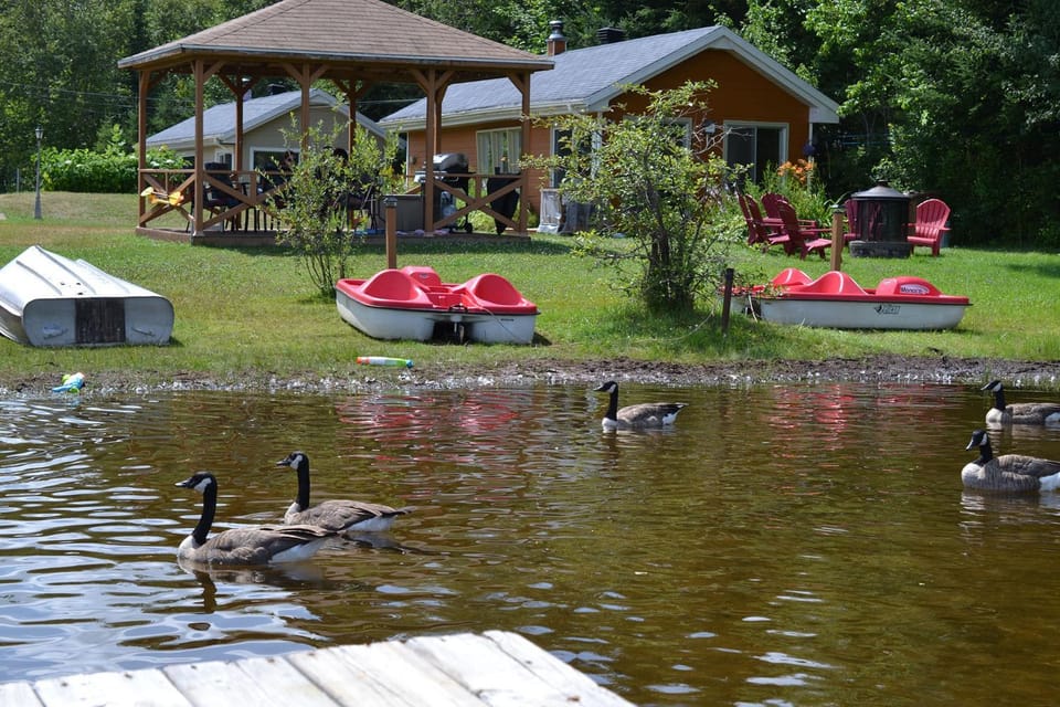Lake view