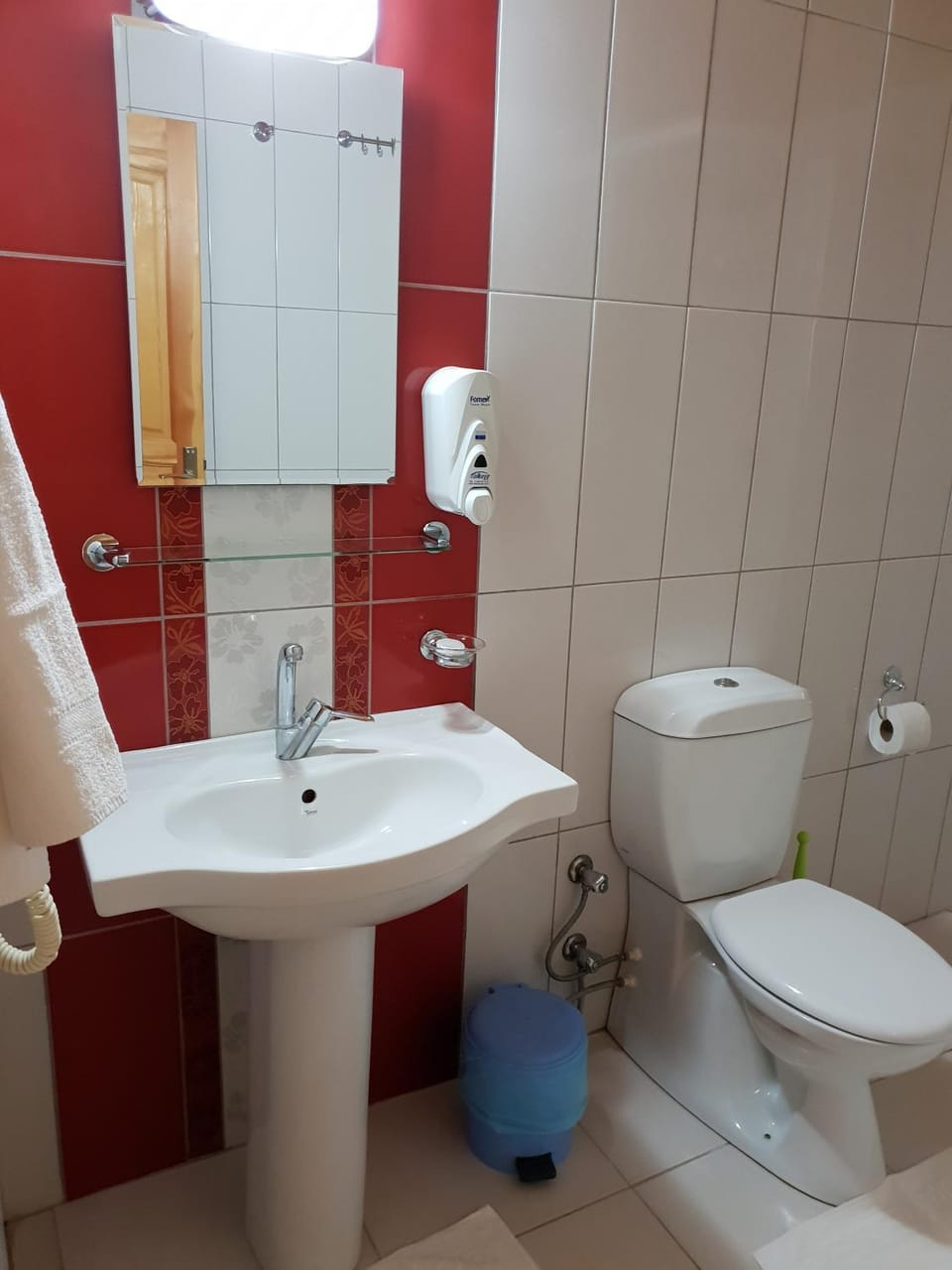 Shower, Toilet