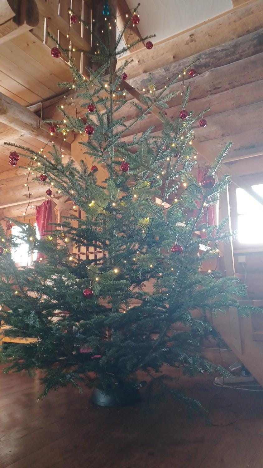 Blockhaustraum Nature lodge in Titisee-Neustadt