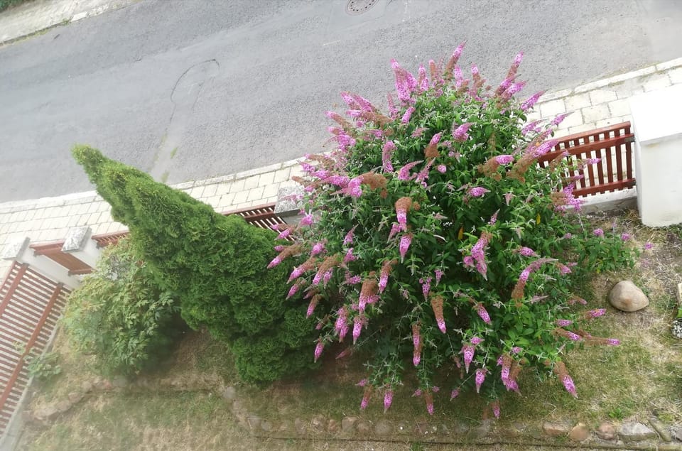 Penzion Flóra- útulný byt s terasou Apartment in Czechia
