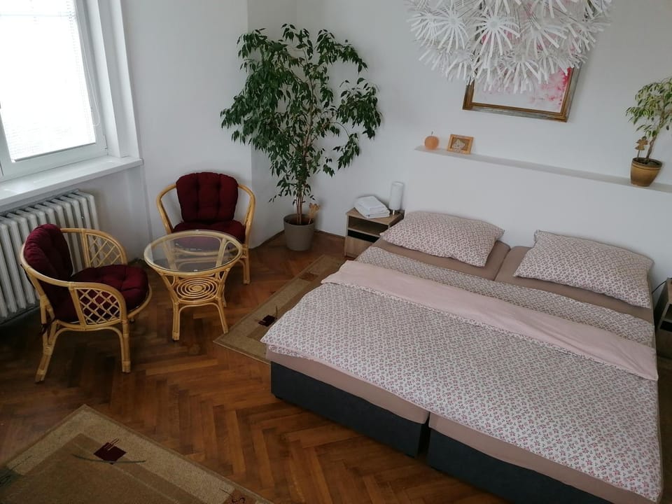 Penzion Flóra- útulný byt s terasou Apartment in Czechia