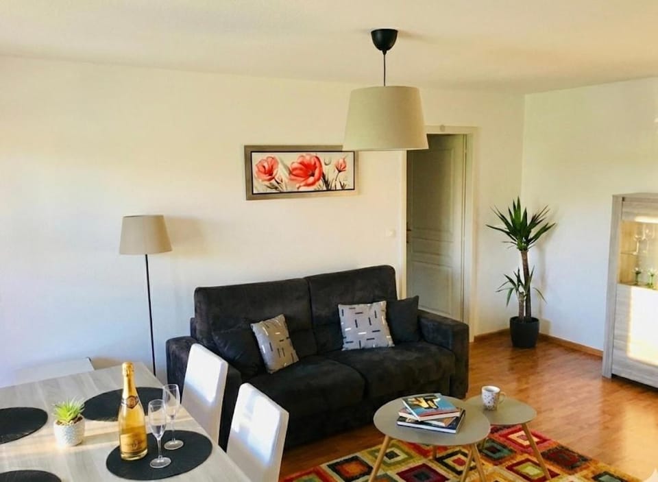 Le Grasberg Apartment in Ribeauvillé