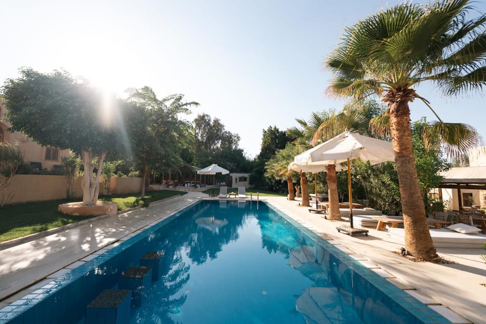 Day, Pool view, Swimming pool