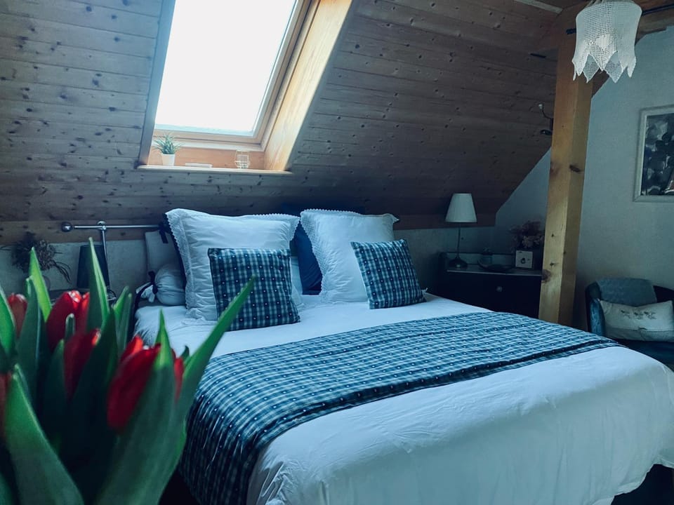 Le Nid de Cigognes Bed and Breakfast in Grand Est