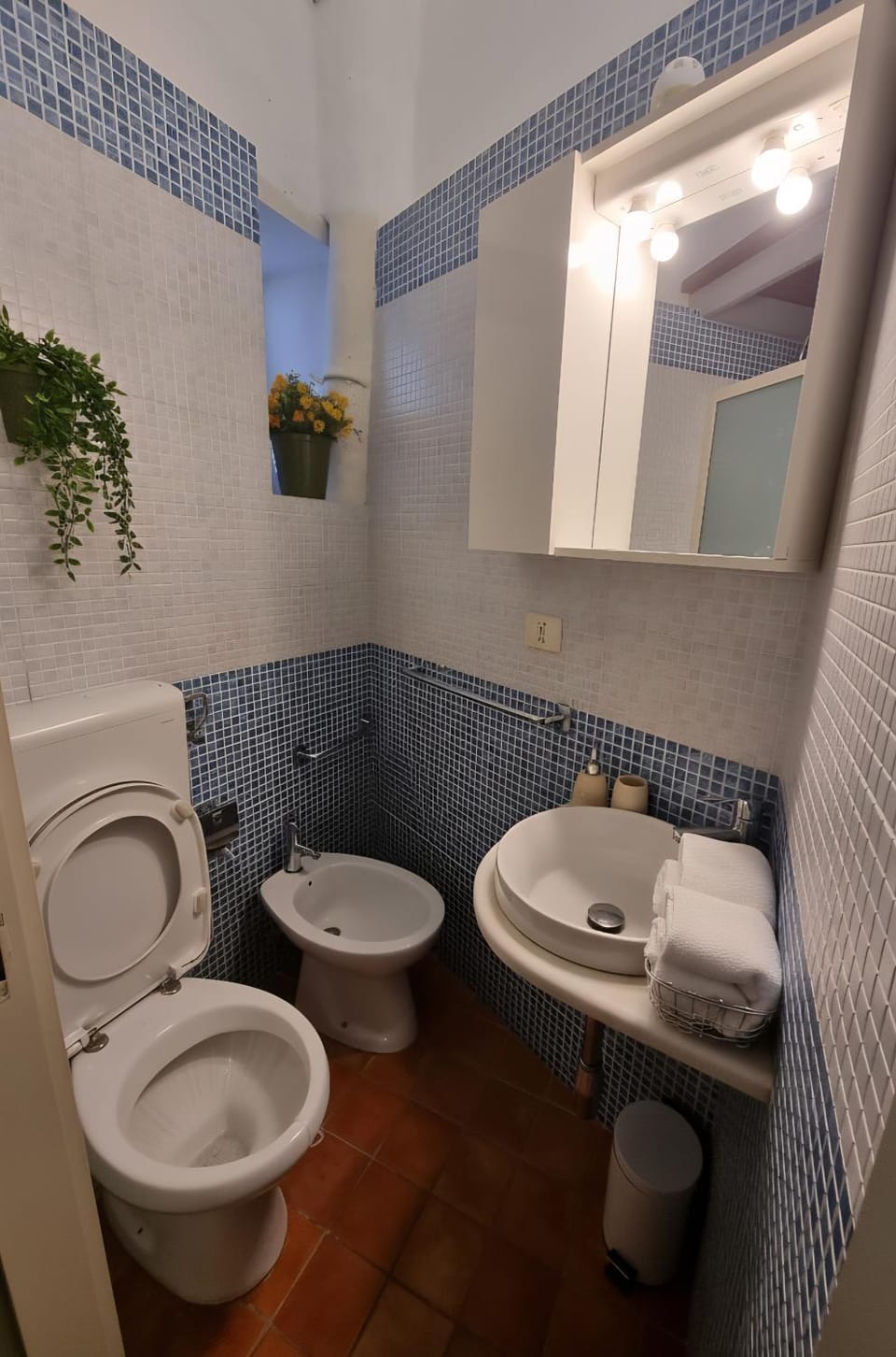 Toilet, Bathroom, bidet