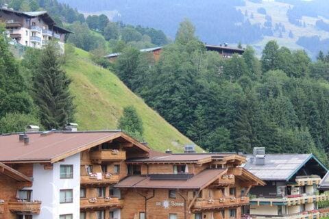 Apartment Edith Top 49 Apartment in Salzburgerland