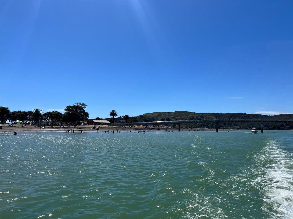 Long St Studio Apartment in Raglan