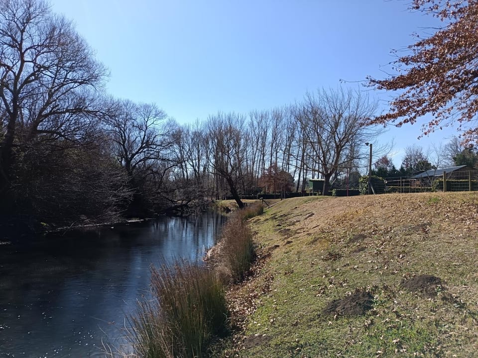 River view