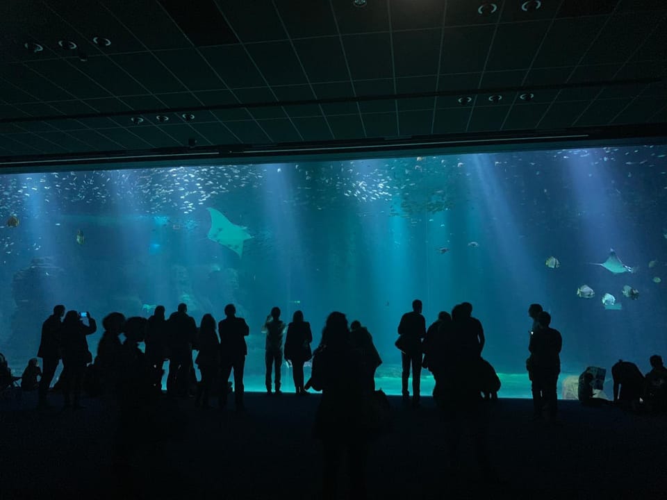 Appartement de 100m² bien situé Apartment in Hauts-de-France