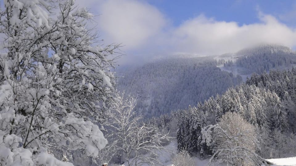 Winter, Mountain view