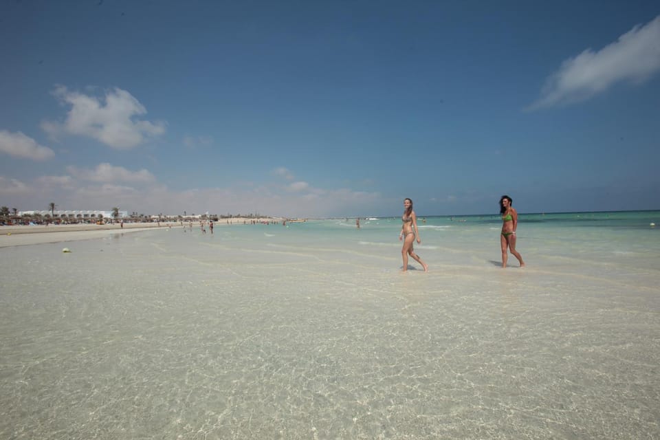 People, Beach, group of guests