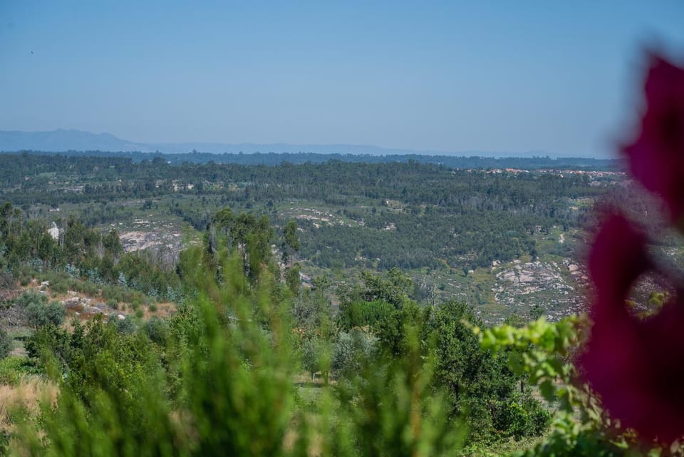 Natural landscape, Mountain view