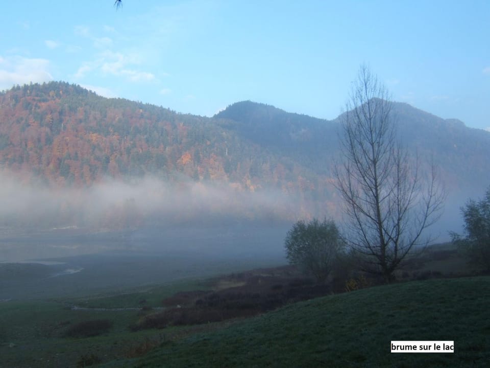Le Chalet Bel Air Chalet in Vosges