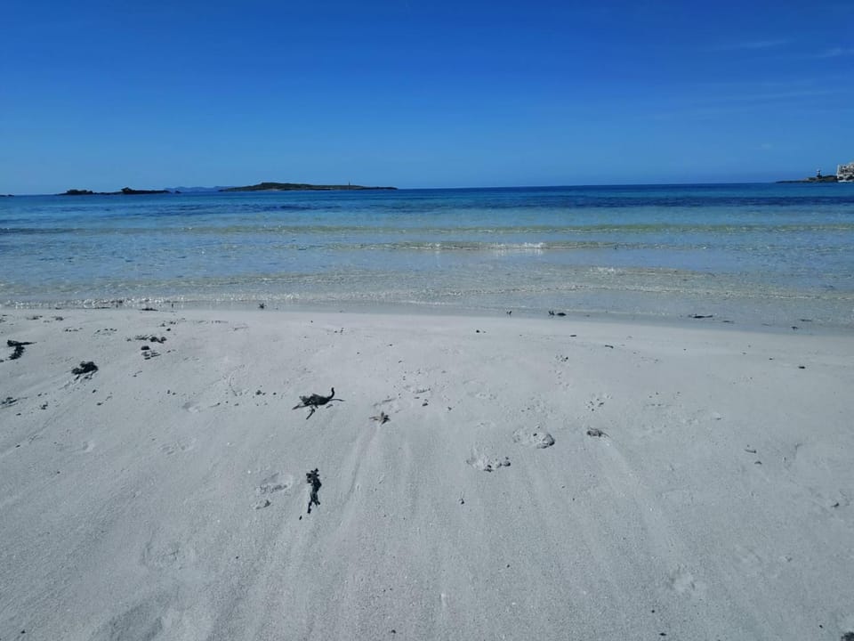 Natural landscape, Beach, Open Air Bath