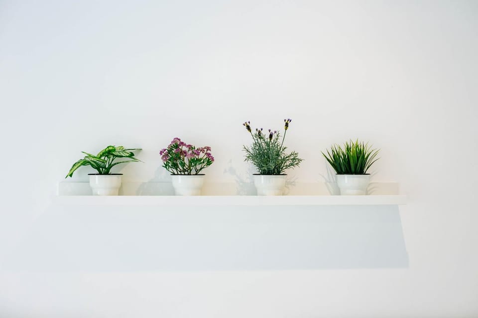 Your second home in Chiado Apartment in Lisbon