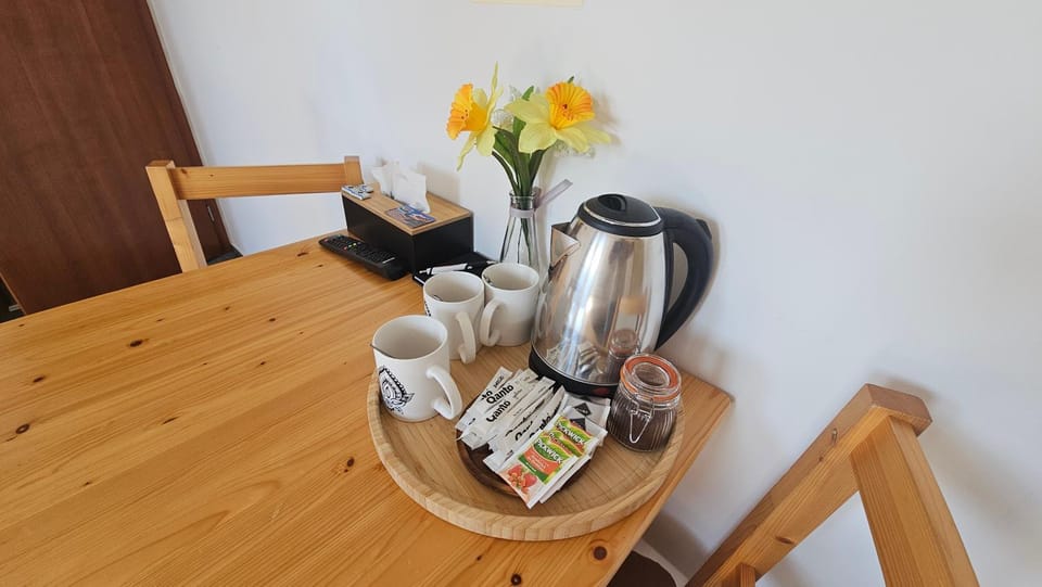 Penzion U řízků Bed and Breakfast in Czechia