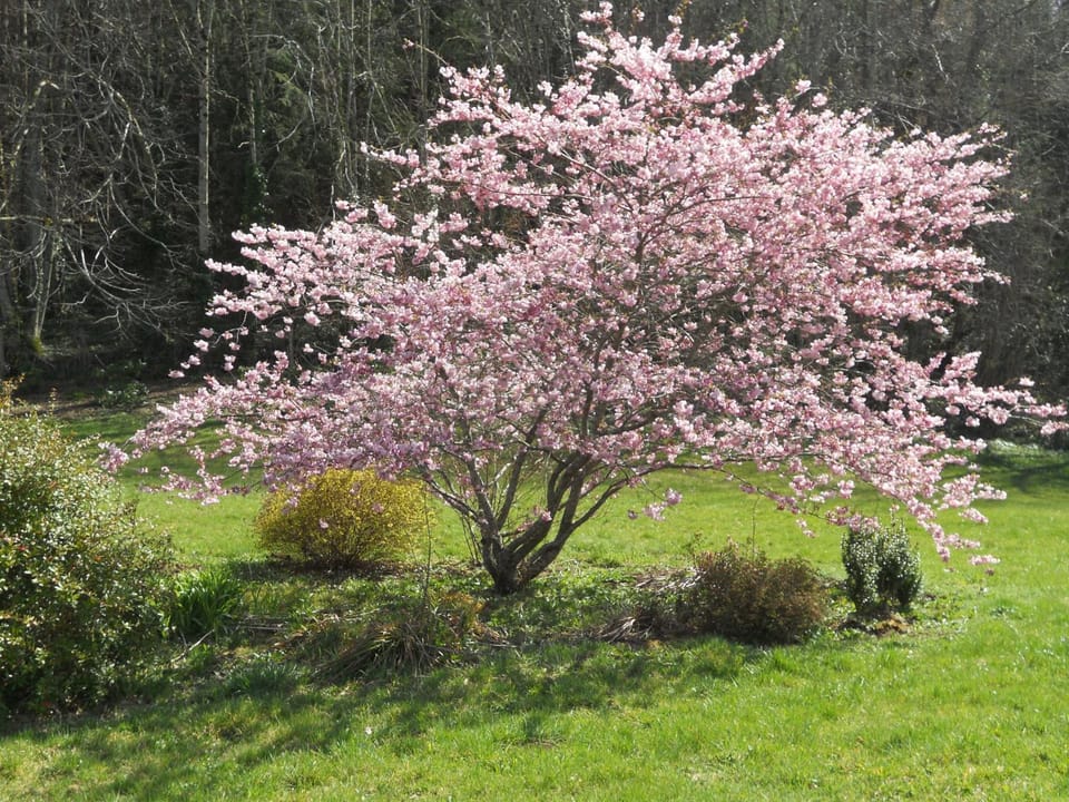 Château de la Moissetie Bed and Breakfast in Aurillac