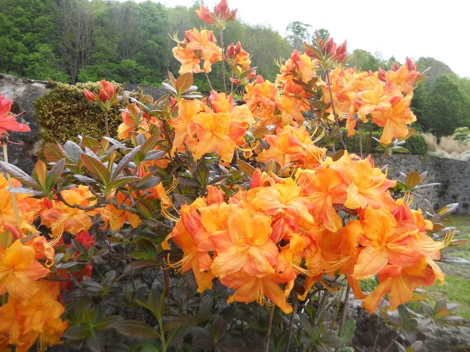 Château de la Moissetie Bed and Breakfast in Aurillac