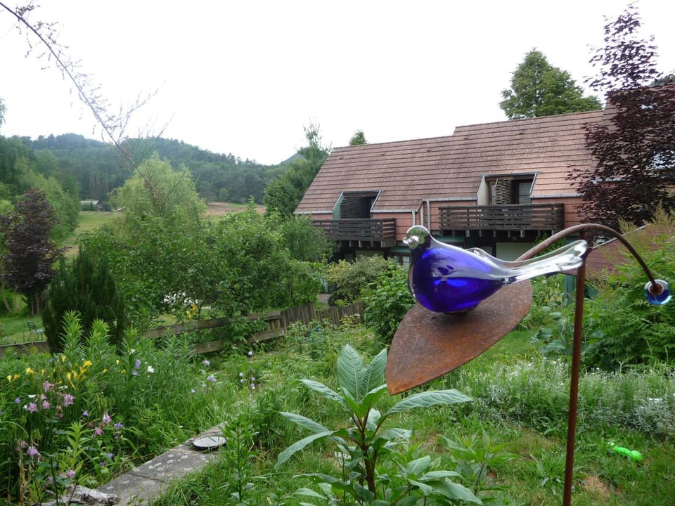 Alsace Village Hotel in Grand Est
